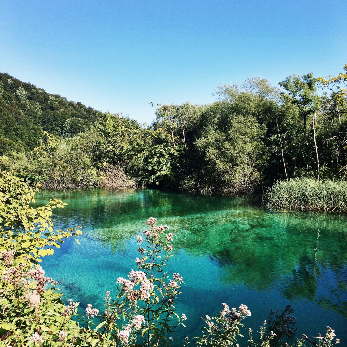 Plitvice Lakes, Croatia (2015)